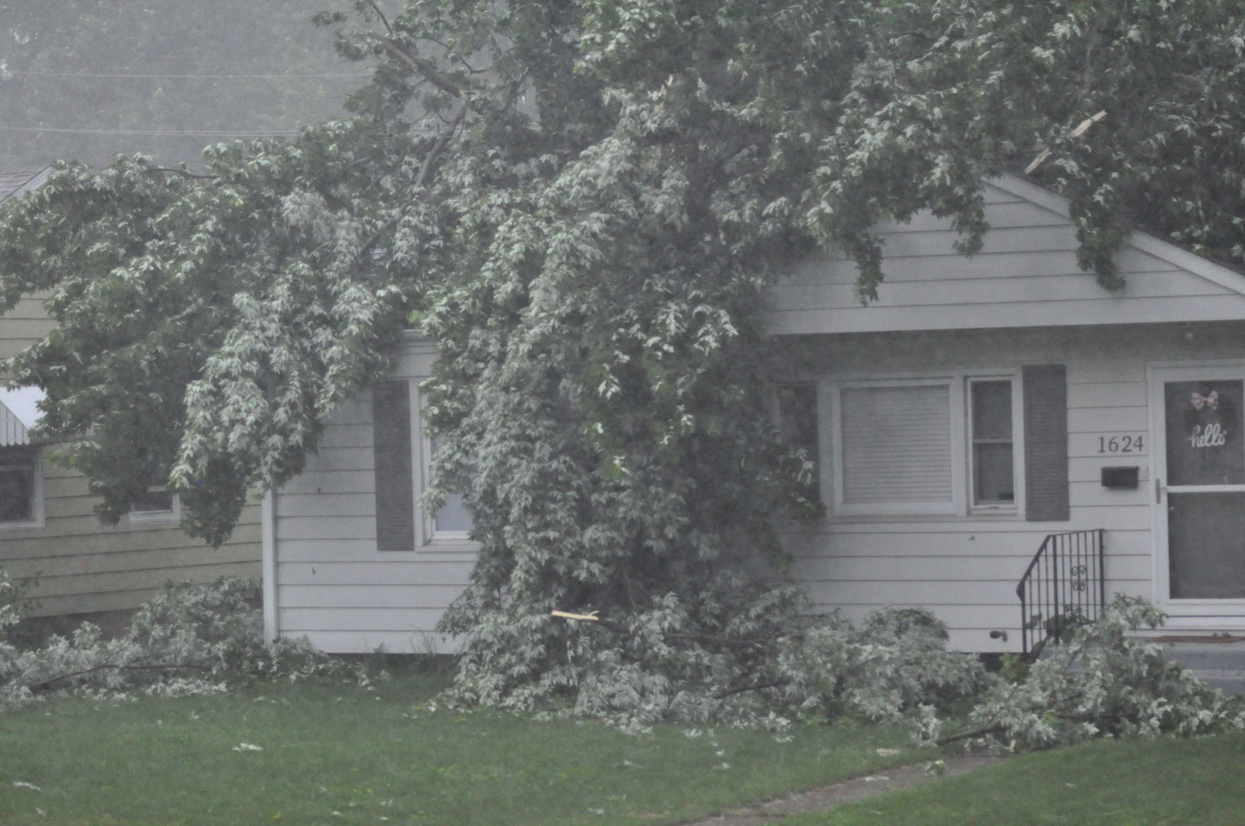 Tree falls on house